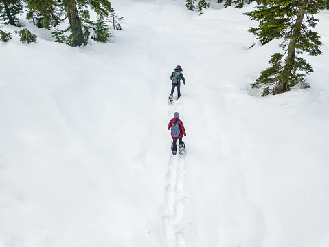 Drone point of view of teen daughter and mature mother snowshoeing in fresh snow.  Mt. Seymour, North Vancouver, British Columbia, Canada.