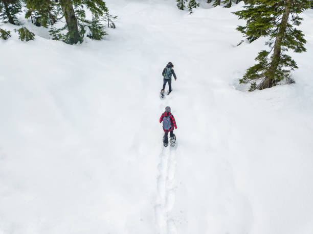 Two Women Making Fresh Tracks Snowshoeing in Snowy Alpine Forest Drone point of view of teen daughter and mature mother snowshoeing in fresh snow.  Mt. Seymour, North Vancouver, British Columbia, Canada. forest bathing photos stock pictures, royalty-free photos & images