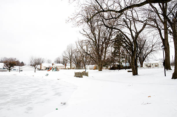 A winter garden scene with snow blanketing trees and bushes, creating a peaceful and frosty environment.