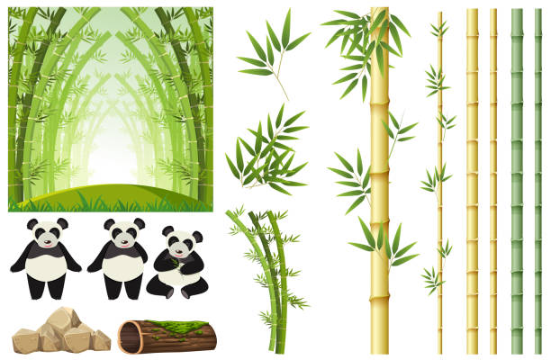 パンダと竹のセット - パンダ点のイラスト素材／クリップアート素材／マンガ素材／アイコン素材