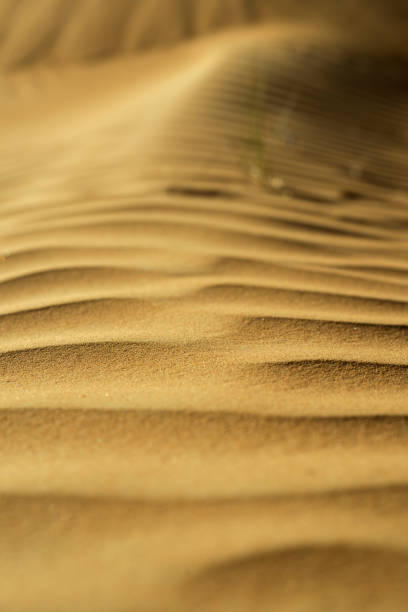 istock Desert Landscape in Dubai 1136982822