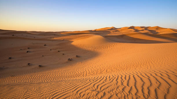 istock Desert Landscape in Dubai 1136983366