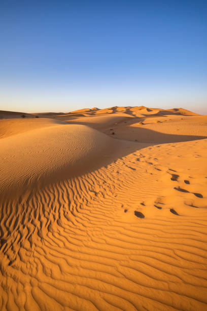 istock Desert Landscape in Dubai 1136983503
