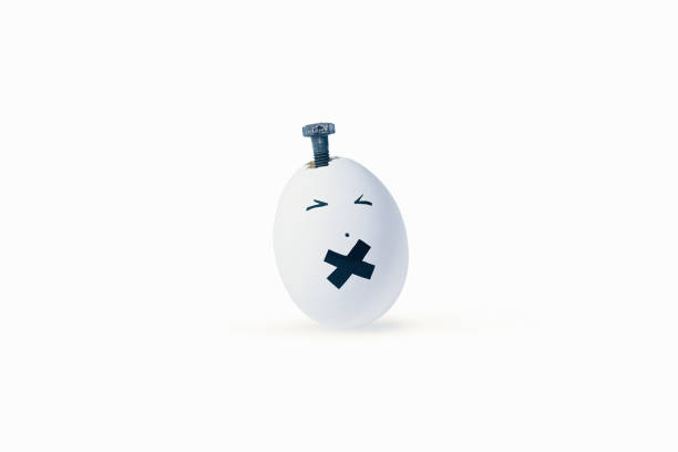 eggs and their expressions