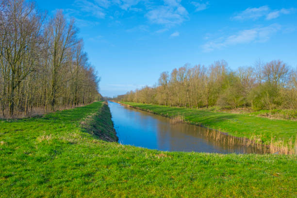 istock Canal in a field below a blue sky in winter seen from a dike 1136992447