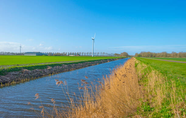 istock Canal in a field below a blue sky in winter seen from a dike 1136992489