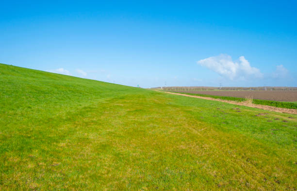 Path on a dike in the countryside in sunlight in winter