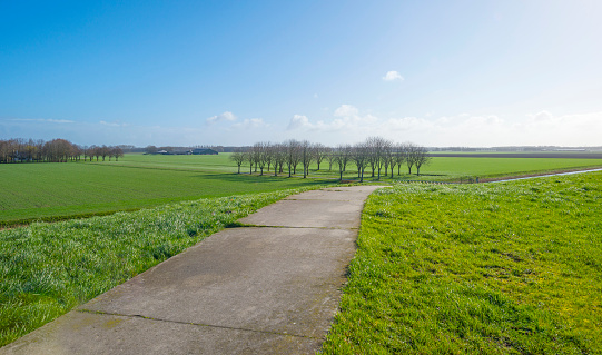 Path on a dike in the countryside in sunlight in winter