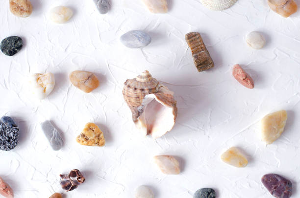 istock Many different sea stones and seashell on a white background. 1136992765