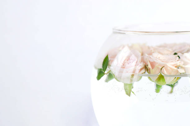 istock Round vessel with water and small peach roses. 1136992810