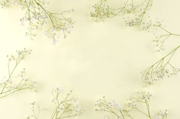 istock Frame from gypsophila branches on a yellow paper background. 1136992860