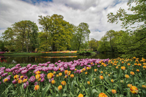 istock Colourful garden and lake 1136993076