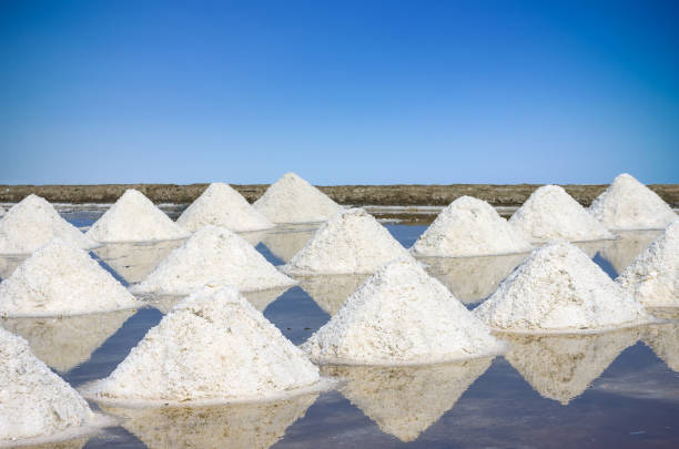 The mass of salt farm salt, sea salt. Before changing the color of the sea salt.