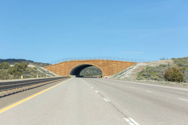natural animal passage bridge at highway of nevada utah USA America natural animal passage bridge at highway of nevada utah USA America nevada highway stock pictures, royalty-free photos & images