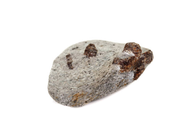 istock macro mineral stone Staurolite on a white background 1137001058