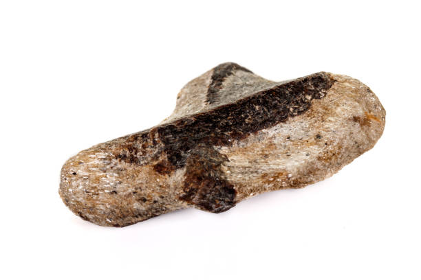 istock macro mineral stone Staurolite on a white background 1137001204