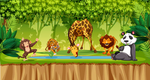 Wild Animals In Jungle Stock Illustration - Download Image Now - Tree,  Tiger, Rainforest - iStock