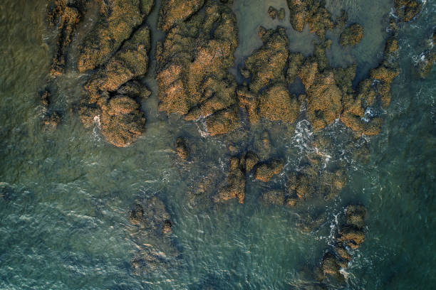 istock landscape of aerial view 1137005938
