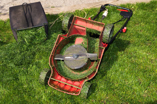 container full of cutting grass and red mower upside down - lawn mower red plant lawn imagens e fotografias de stock