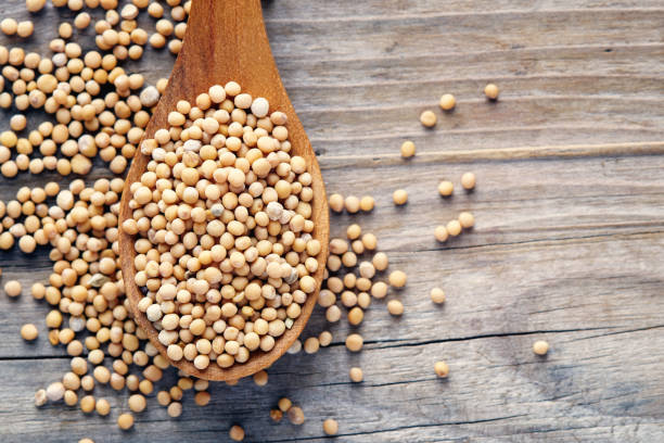istock Organic yellow mustard seeds 1137009194