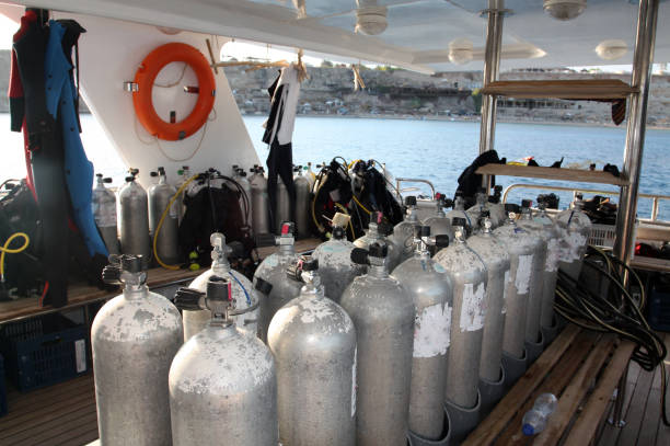 istock Diving on the Red sea. 1137009236