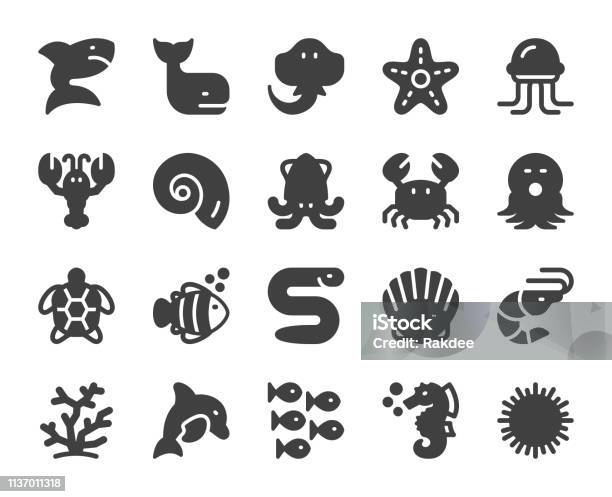 Sea Life And Ocean Animal Icons Stock Illustration - Download Image Now - Icon Symbol, Illustration, Sea