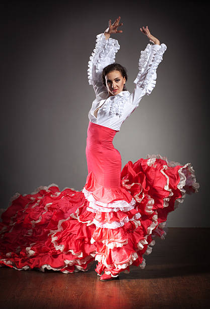 istock Flamenco dancer in s red dress 113701388