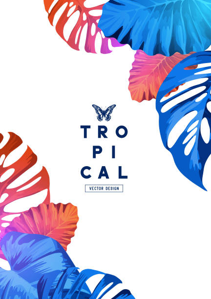 ilustraciones, imágenes clip art, dibujos animados e iconos de stock de diseño de marco tropical brillante - customisable