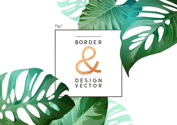 ilustraciones, imágenes clip art, dibujos animados e iconos de stock de diseño de marco botánico tropical - customisable