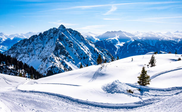 istock landscape near pertisau - austria 1137018933