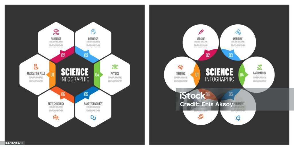 Science Chart with Keywords Infographic stock vector