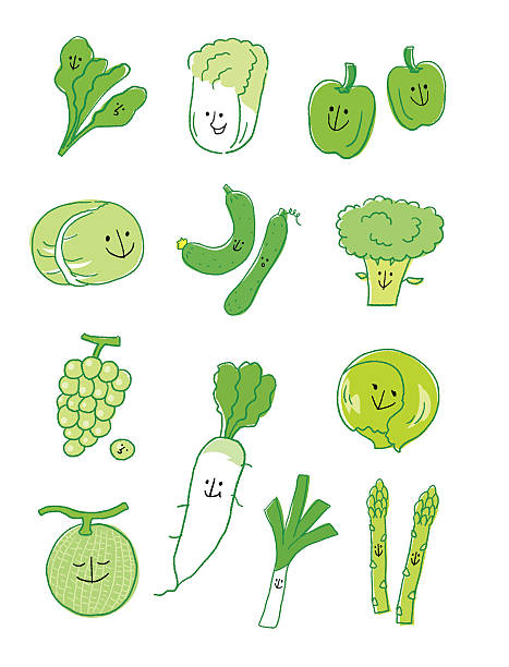Chinese Cabbage Vector Art Graphics Freevector Com Chinese Cabbage Vector Art Graphics Freevector Com