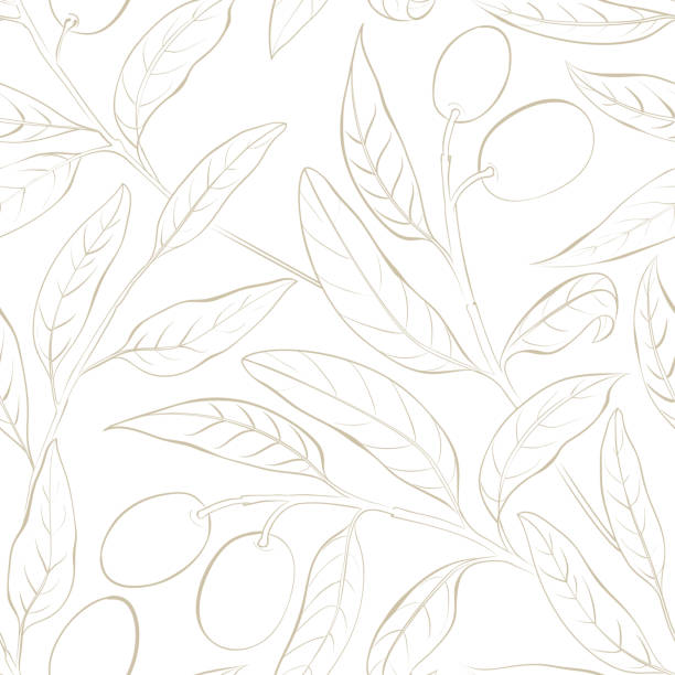 бесшовный оливковый узор. - olive olive branch leaf vector stock illustrations