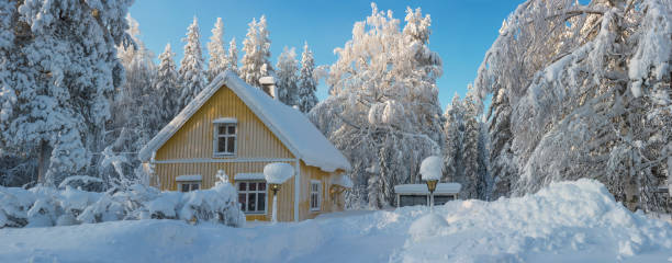 istock winter in Lapland, Sweden, Norrbotten 1137025318