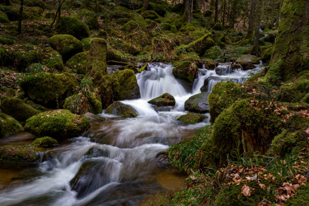 istock Mystical waterfall with mossy stones 1137026790