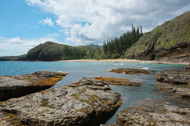istock Coastline New Caledonia landscape beach rock pines 1137027137