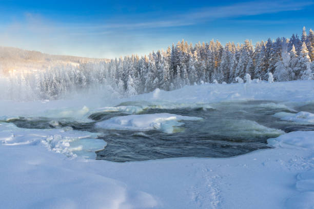 istock the winter in swedish Lapland 1137027188