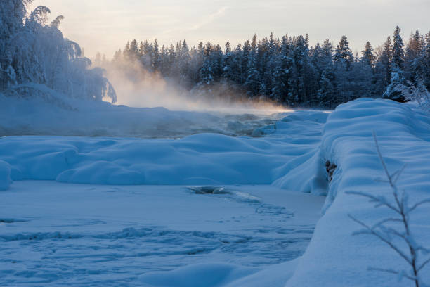 istock the winter in swedish Lapland 1137027233