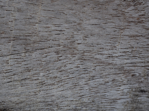Wood background texture. (Used for background image , Or design work)