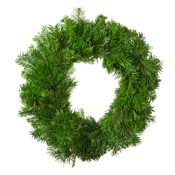 istock Christmas wreath fir tree blank circle isolated on white 1137028375
