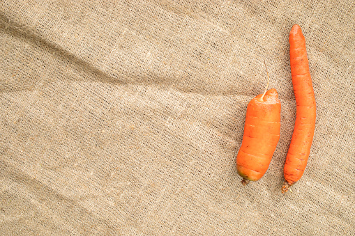 Two non-standard ugly carrots: thin crooked and small on burlap . Copy space, top view.