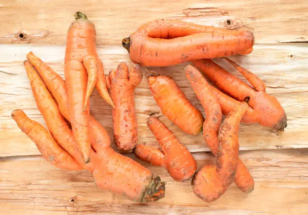 Photo of Close-up heap of washed non-standard ugly carrots on  unusual natural wooden background.
