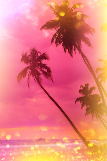 istock Tropical sunset stylized with film light leaks and glitter overlay 1137028481