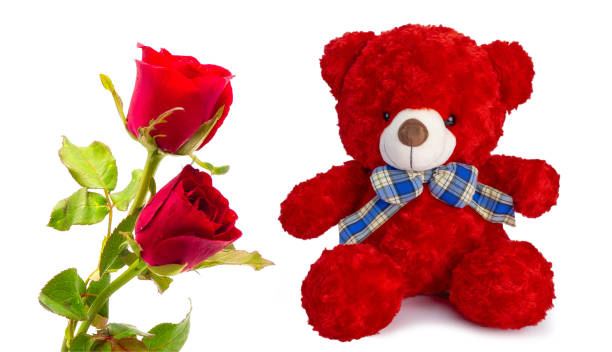 Teddy Bear And Red Roses Stock Photo - Download Image Now - Bear, Red, Rose  - Flower - iStock