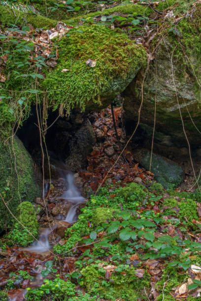 istock Mystical waterfall with mossy stones 1137029943