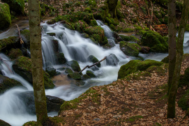 istock Mystical waterfall with mossy stones 1137030325