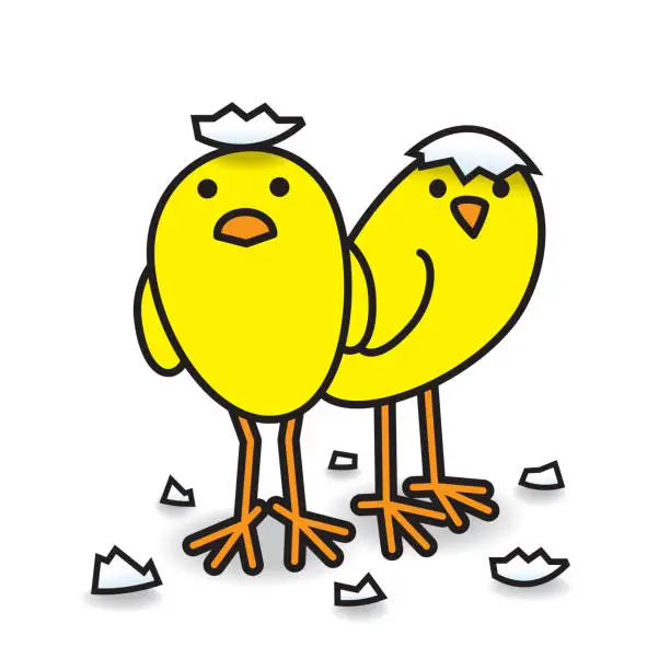 Vector illustration of Couple of Cute Freshly Hatched Staring Yellow Chicks