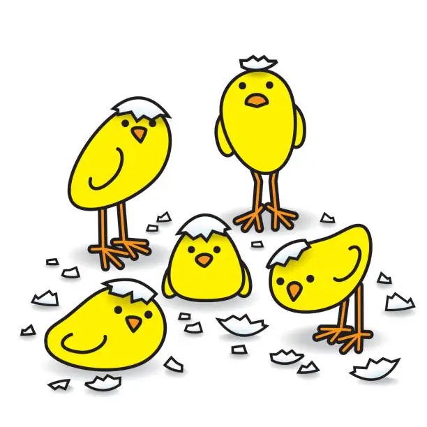 Vector illustration of Five Cute Freshly Hatched Staring Yellow Chicks