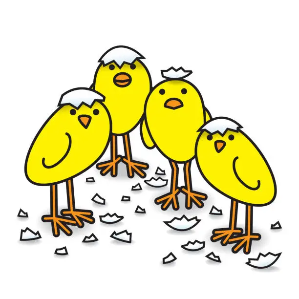 Vector illustration of Four Cute Freshly Hatched Staring Yellow Chicks