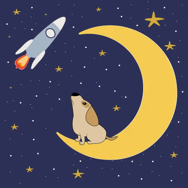 Vector illustration of Night landscape where cute dog sitting on moon.